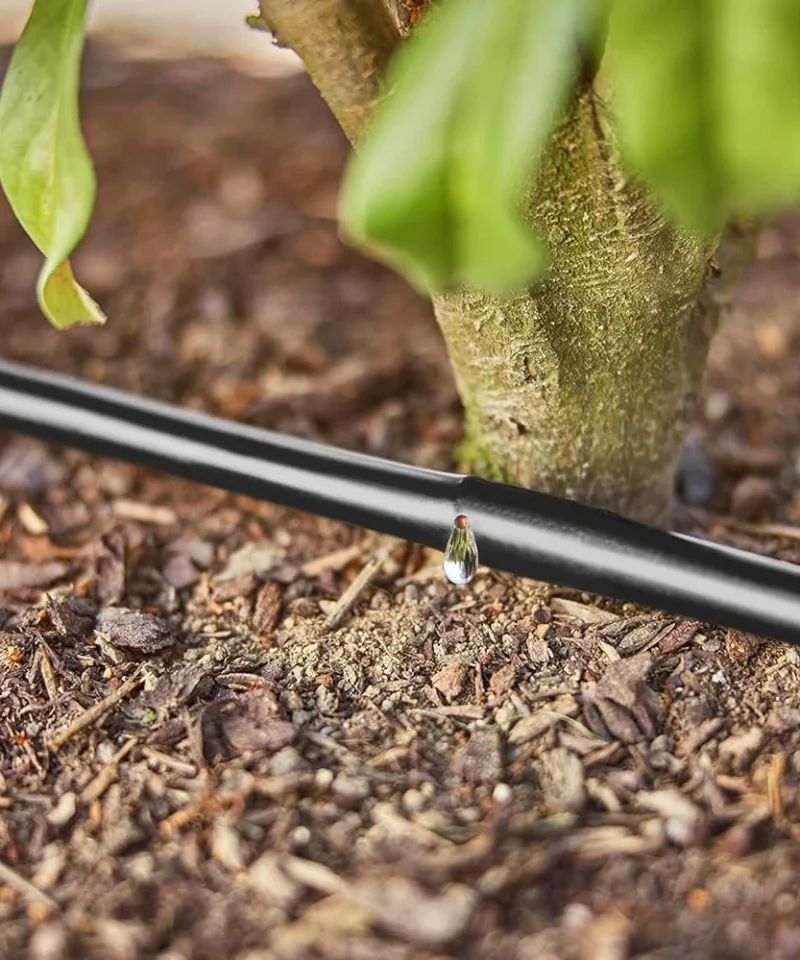 Kapljično zalivanje žive meje in grmičevja z Gardena Micro-Drip sistemom za enakomerno namakanje rastlin.